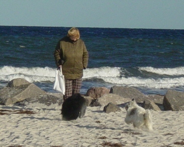 An der Ostsee mit Frauchen 
