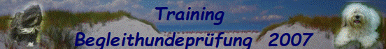Training 
Begleithundeprüfung  2007