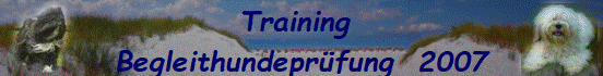 Training 
Begleithundeprfung  2007