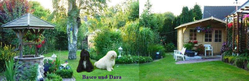Unser Garten mit Basco und Dara