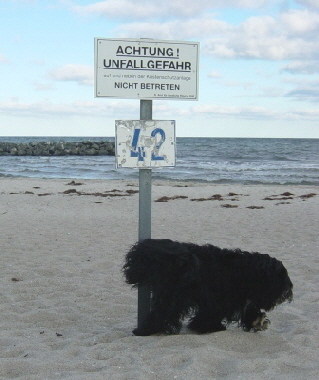 Typische Verbotsschilder als Hundetoilette
