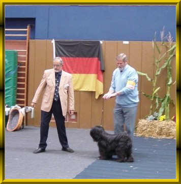 segeberg2 basco ist Sieger segeberg2 basco ist Sieger