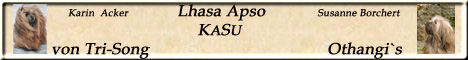 banner88-2.kasu02