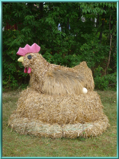 probstei2010_huhn1