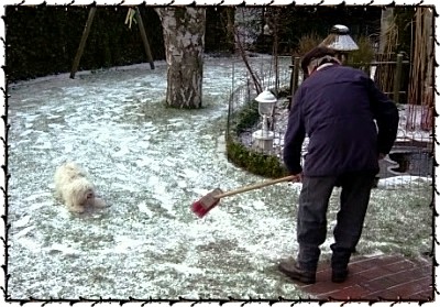 schneekampf_dara